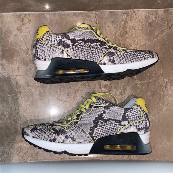 Ash Shoes - Snakeskin print tennis shoe